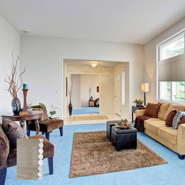 Randers 雙循環上下開合紗蜂巢簾繭綢 (Pongee)