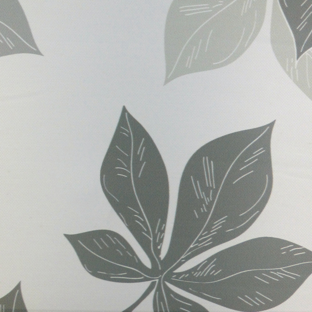 Starup手動半透光捲簾墨黑羽葉(Graphite Leaf)